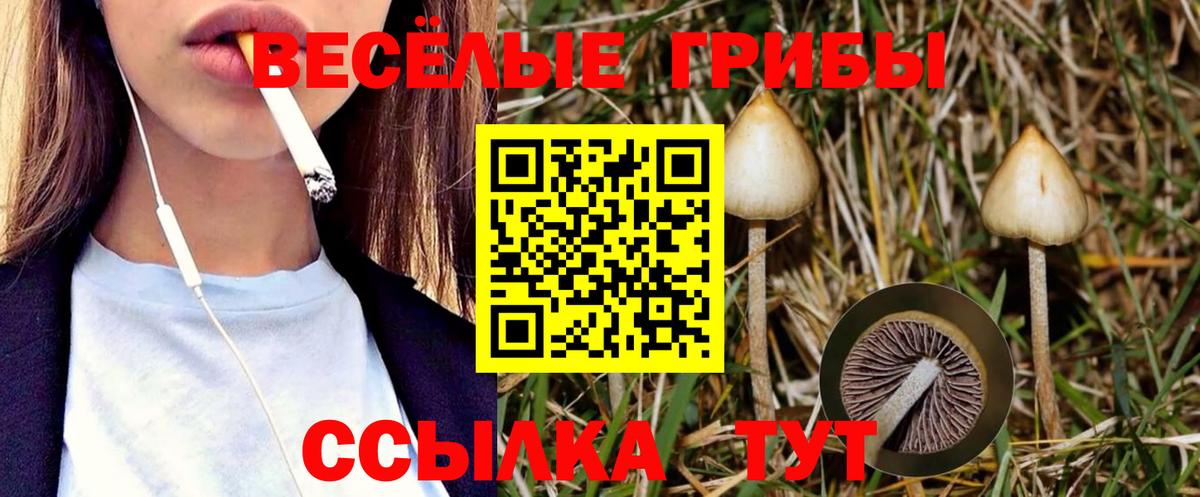 Уварово  Галлюциногенные грибы Psilocybe  Вход с VPN  как найти наркотики  Галлюциногенные грибы Magic Shrooms 